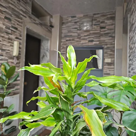 Dal Monsingore Apartment *