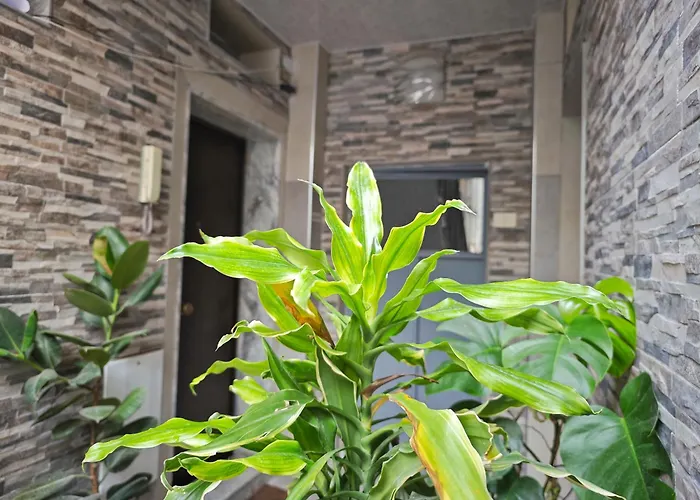 Dal Monsingore Apartament *